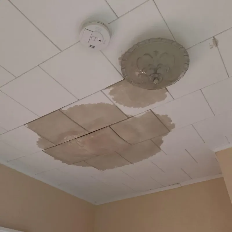 Ceiling Water Damage Repair in Banning, CA